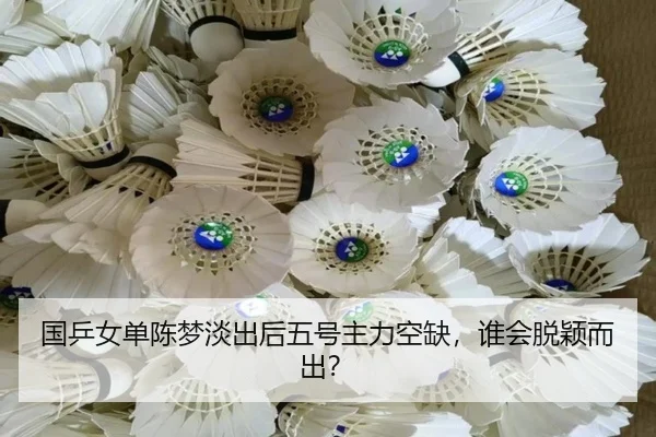 国乒女单陈梦淡出后五号主力空缺，谁会脱颖而出？